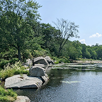 200x200-1_0001_Niper-CE_Photo-1_Subject-property-shoreline-a