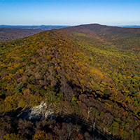 200x200-_0000_DJI_20241017165539_0401_D