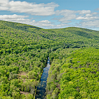 200x200-_0001_GregMiller_Wurtsboro_Connector_010-1