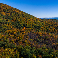 200x200_0000_DJI_20241017144133_0024_D