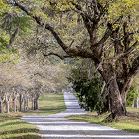 200x200_0000_OSI-Blessing-SouthCarolina (1)