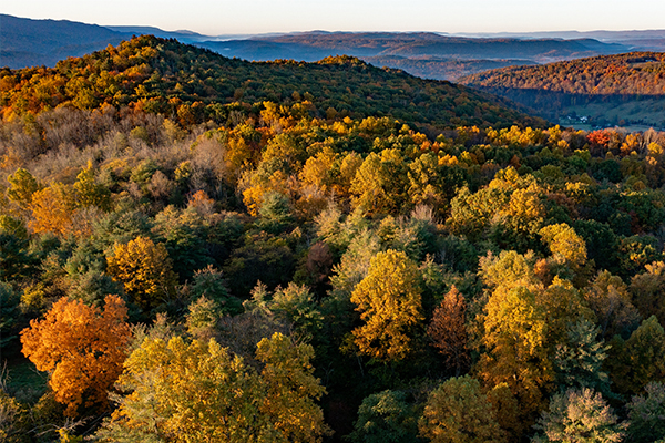 DJI_0129-400x600