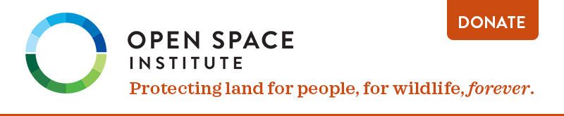 E-News-Header-Donate