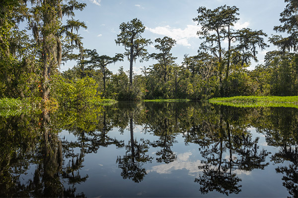 SC Easement