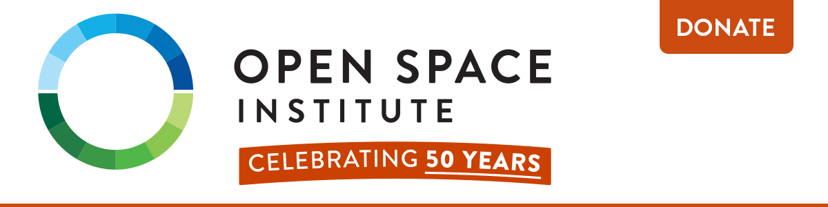 50th E-News Header
