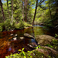 e-news_0001_MudRunByMichaelKaczenski2