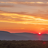 e-news_0002_GregMiller_Roosa_Gap_State_Forest_051