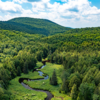 e-news_0005_DJI_0701