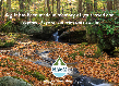 SCW - Memorial E-Card 1